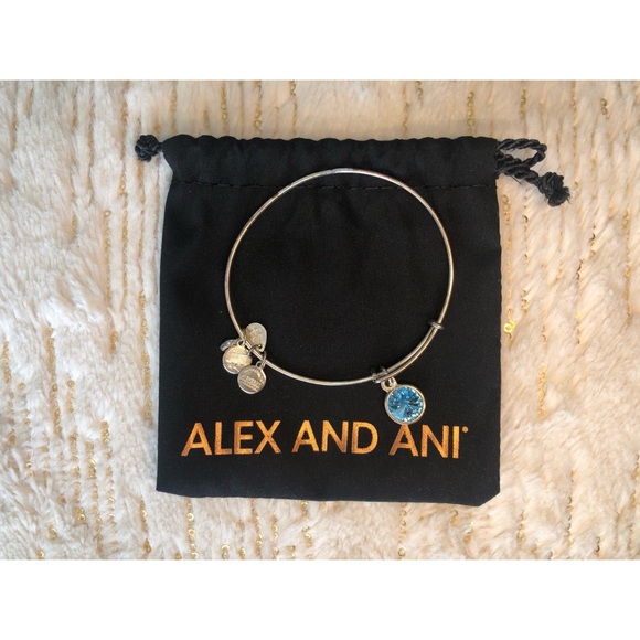 Alex and Ani Jewelry - Alex and Ani - Shiny Silver Charm Bangle